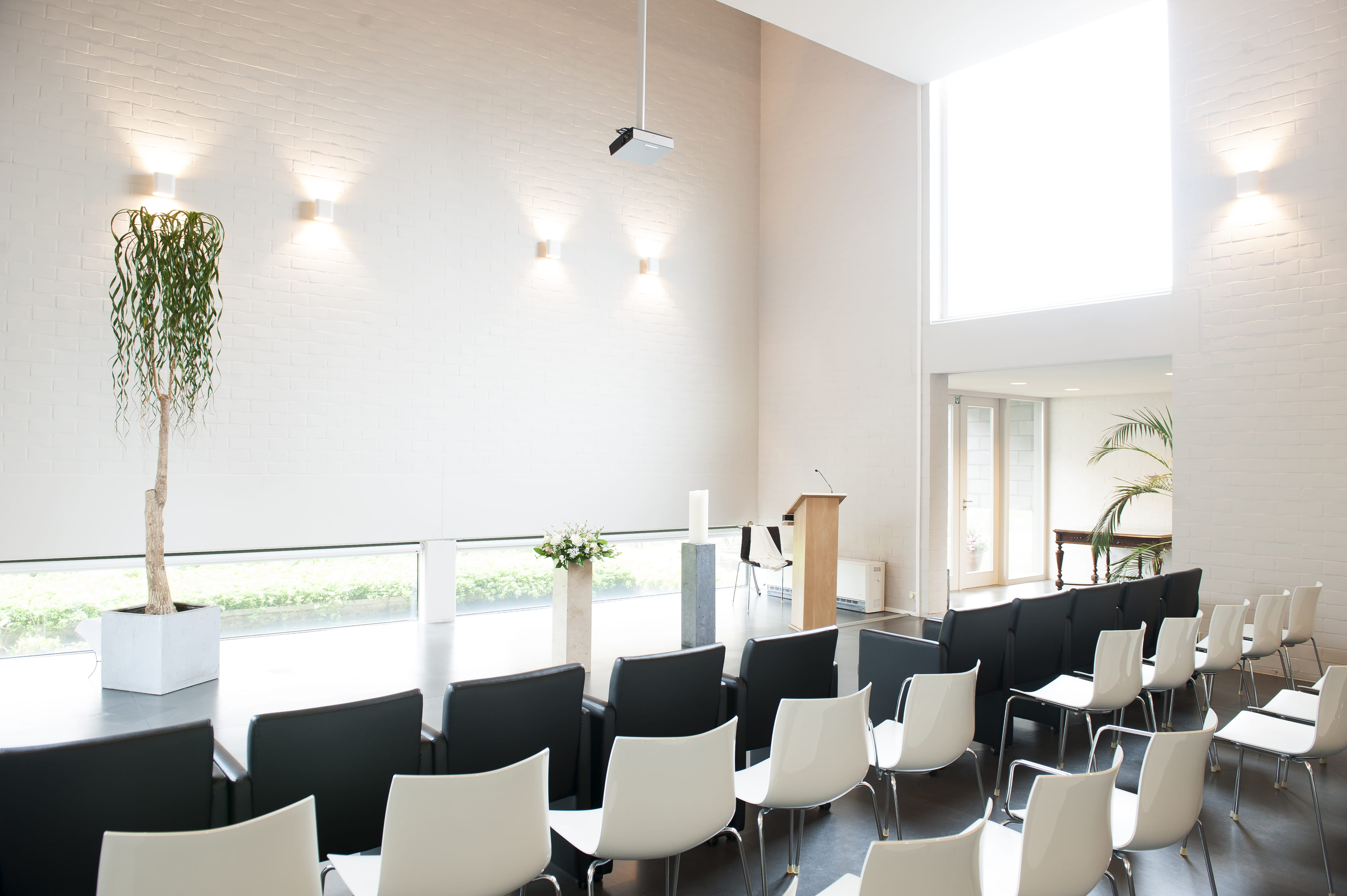 Aularuimte met witte stoelen en een hoge groene plant in het midden